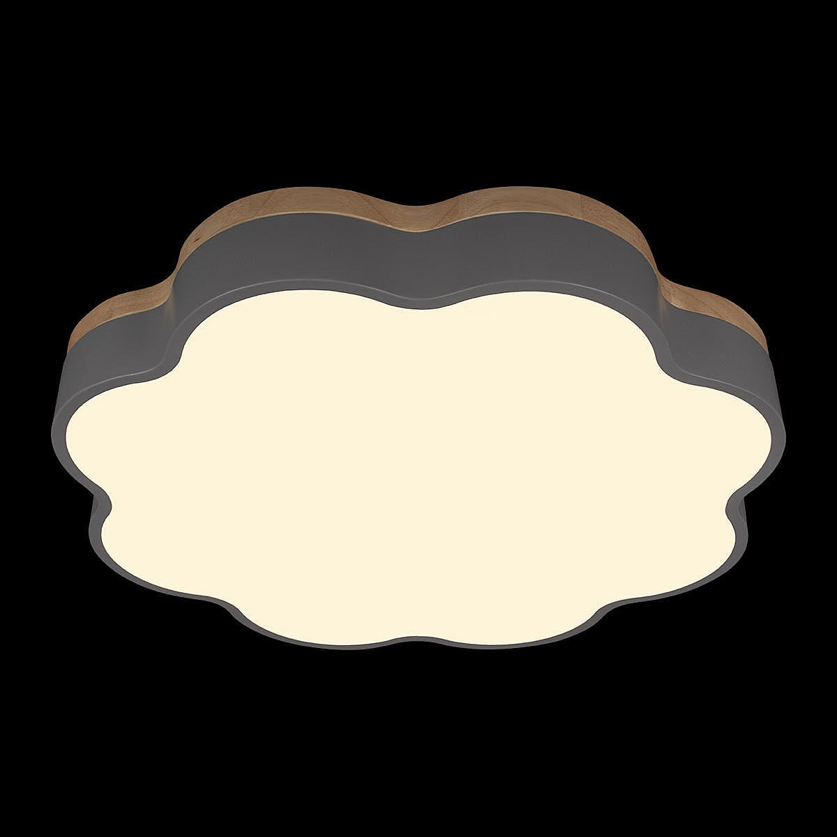 Светильник потолочный Loft It Axel 10225/36 Grey