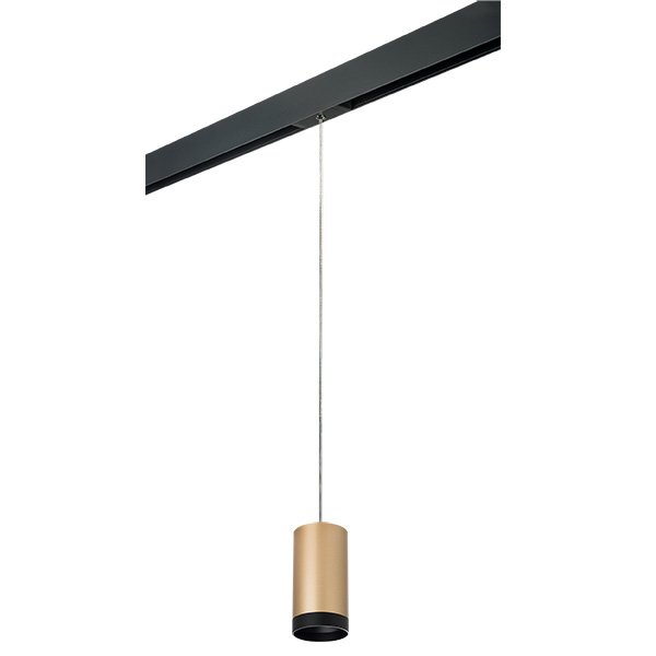 PRORP440437 Трековый светильник Lightstar Rullo PRORP440437