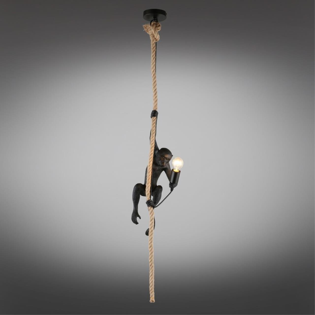 Светильник подвесной Aployt Magali APL.309.16.01