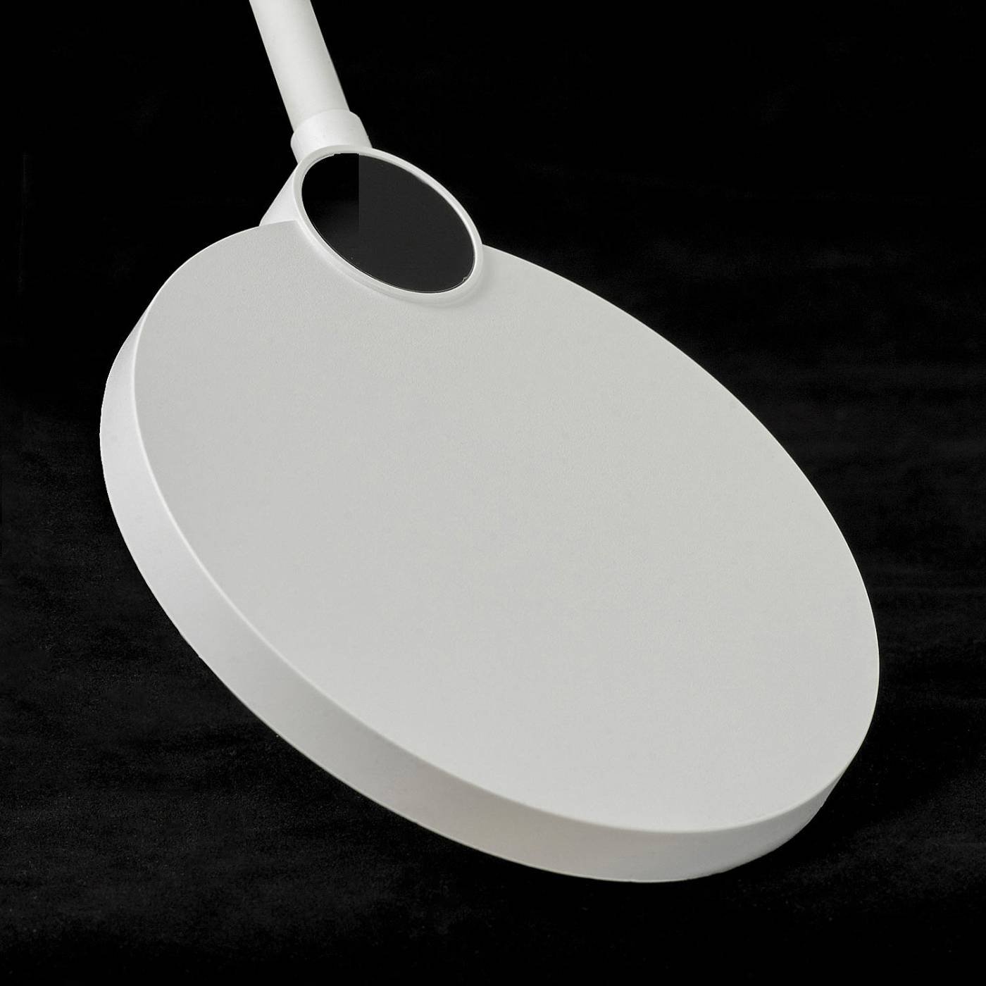 LSP-0919 Торшер Lussole Amador LSP-0919