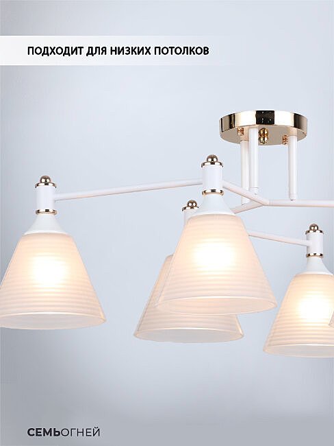 WD3619/6C-WT-FGD-WT Потолочная люстра Wedo Light Anneta WD3619/6C-WT-FGD-WT