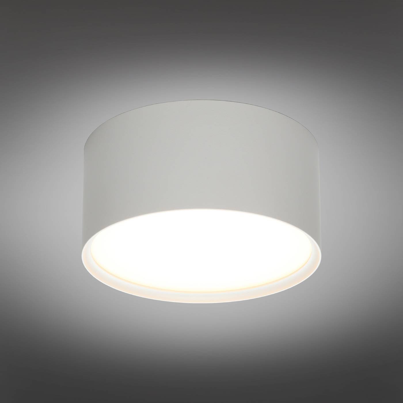 Накладной светильник Omnilux Abano OML-103309-12