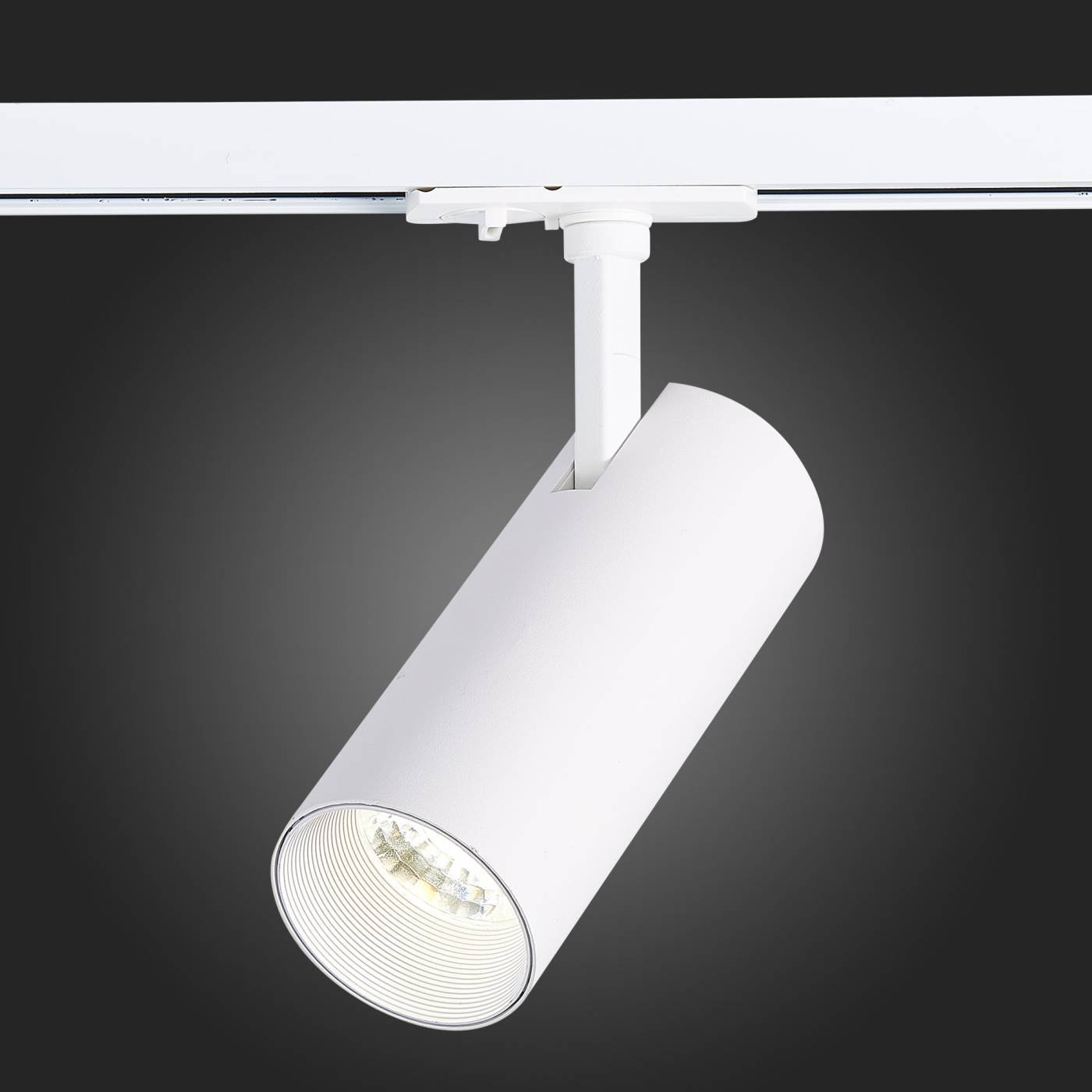 ST350.536.20.36 Трековый светильник ST Luce Mono ST350.536.20.36