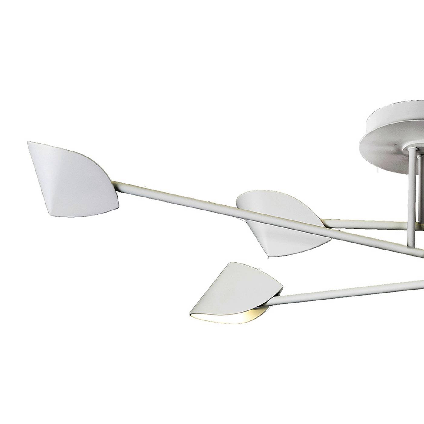 7572 Потолочная люстра Mantra Capuccina 7572