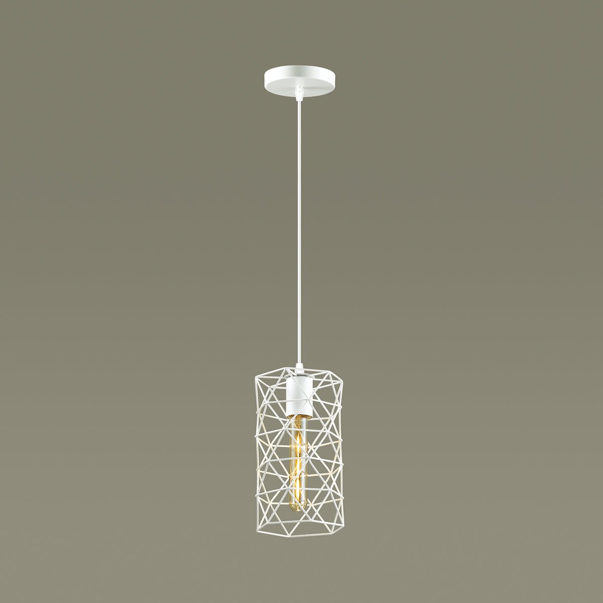 Светильник подвесной Lumion Olaf 3730/1