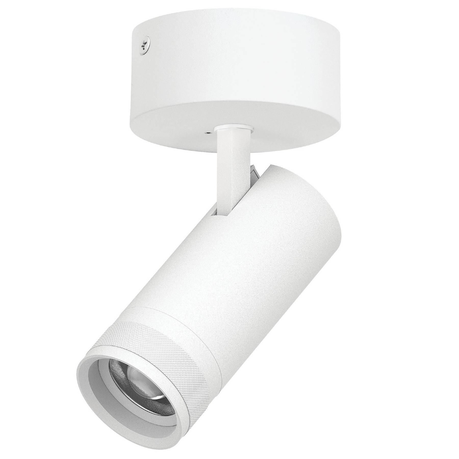 C4206SO Светильник спот Lightstar Canno Pro C4206SO