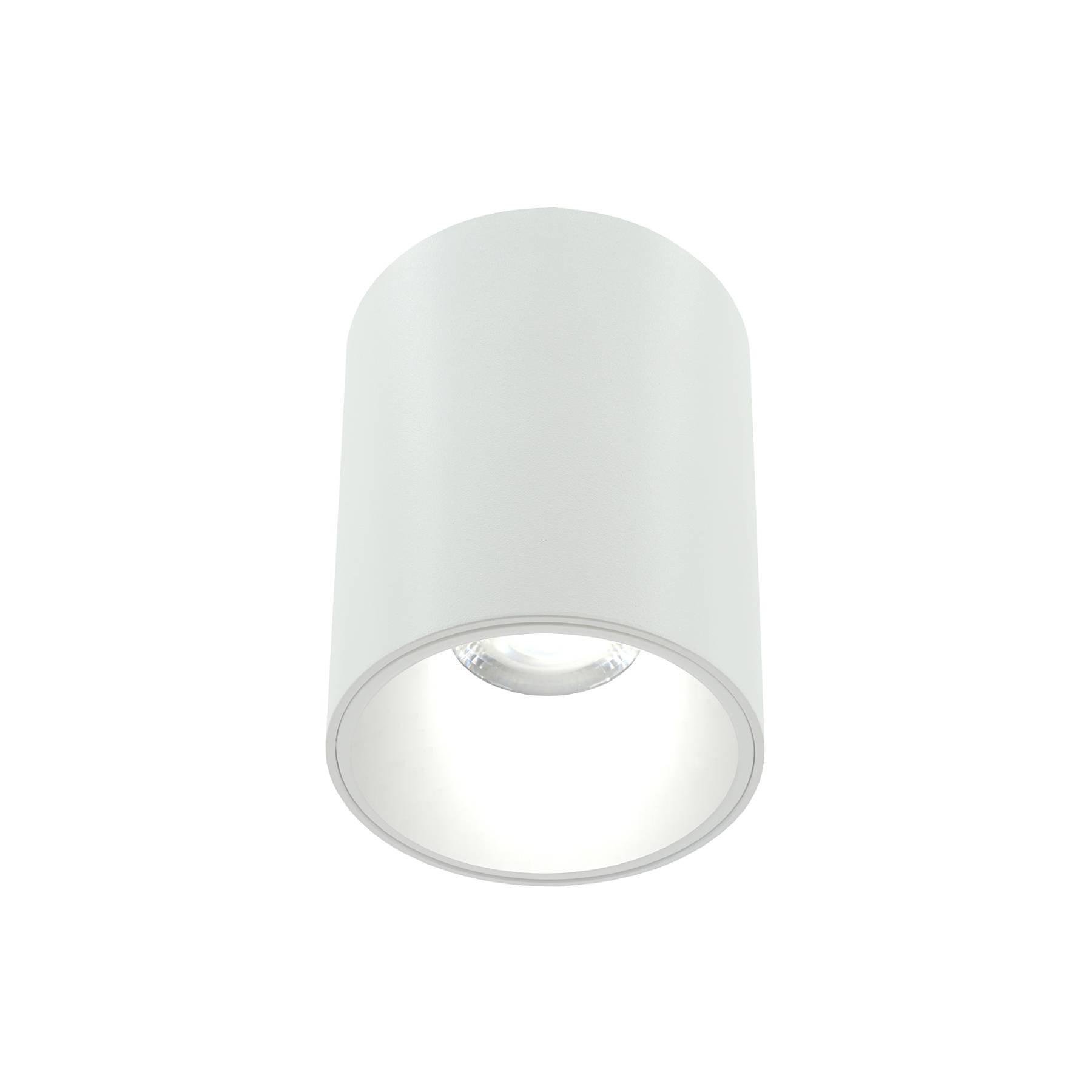 LE200CL-1W Накладной светильник LIGHTERA Shamrock LE200CL-1W