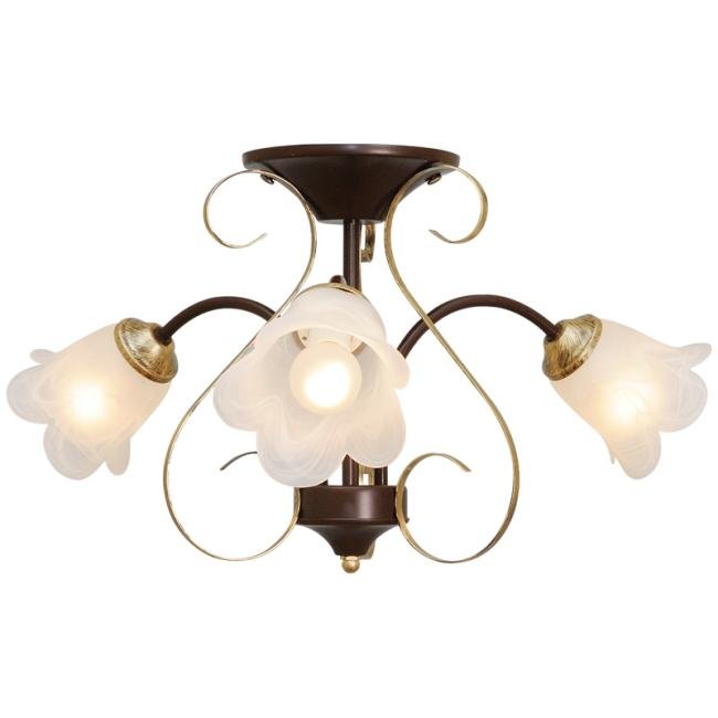 1609 Потолочная люстра Северный свет Оливия 1609