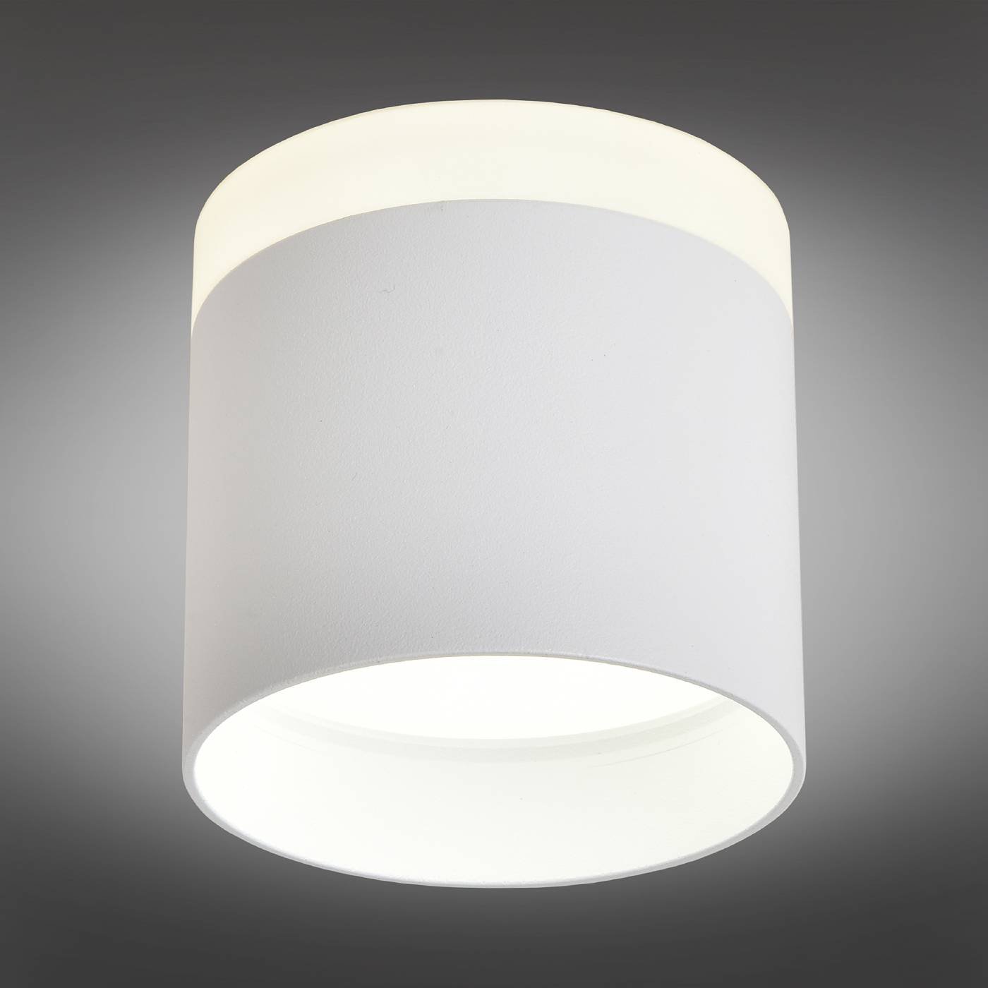 OML-102309-16 Накладной светильник Omnilux Tures OML-102309-16