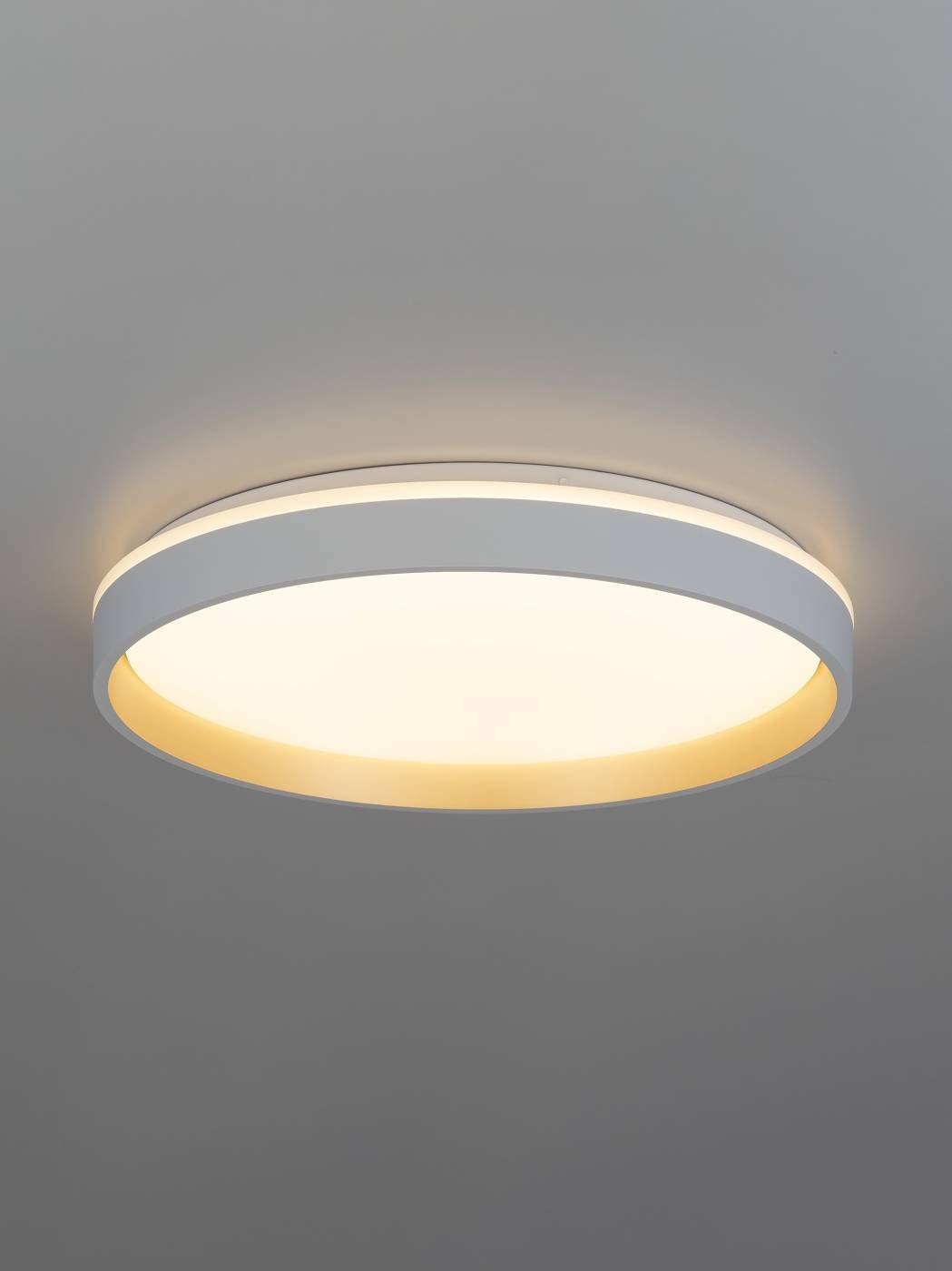 CL753450G Светильник потолочный Citilux Enzo CL753450G