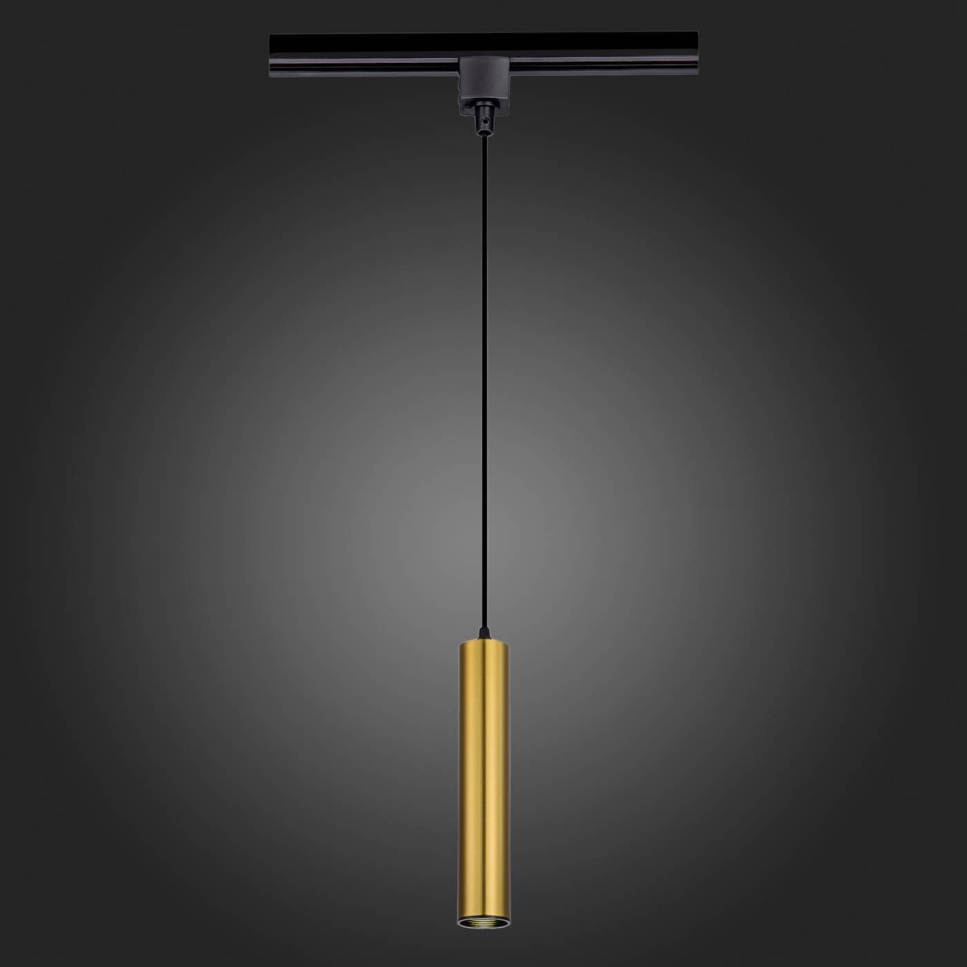 ST151.306.01 Трековый светильник ST Luce ST151.306.01