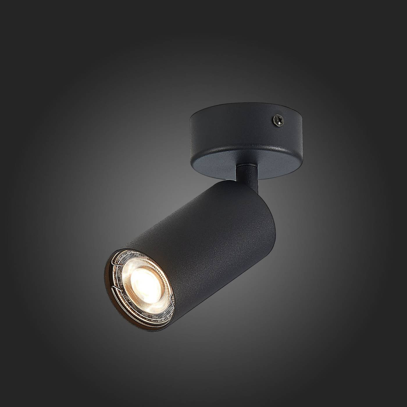 ST303.402.01 Светильник спот ST Luce Dario ST303.402.01