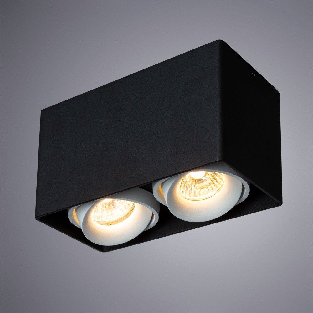A5654PL-2BK Накладной светильник Arte Lamp Pictor A5654PL-2BK