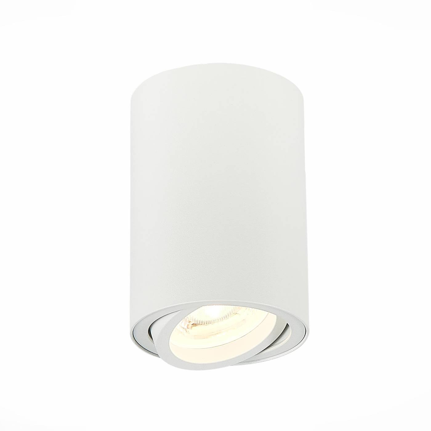 Накладной светильник ST Luce Torus ST108.507.01