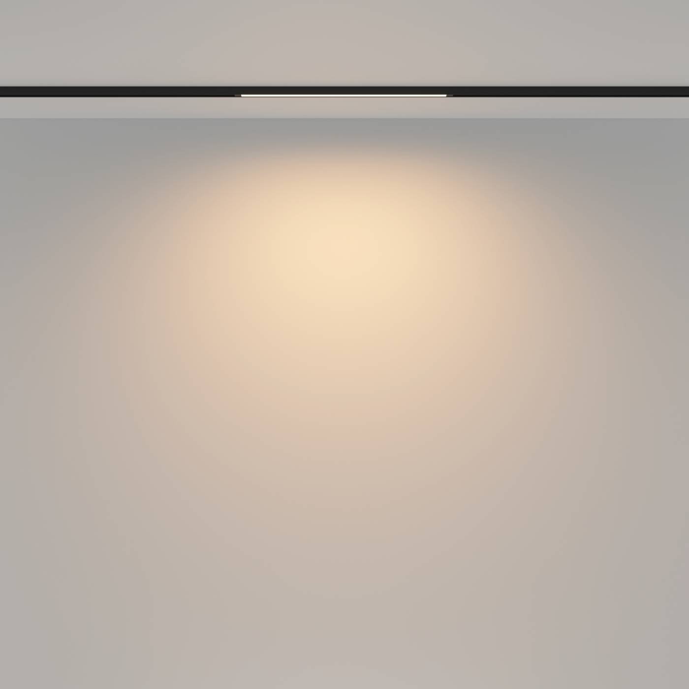 Трековый светильник Maytoni Basis TR173-1-8WTW-B