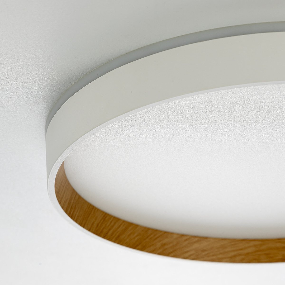 Светильник потолочный Citilux Etalon CL750320R