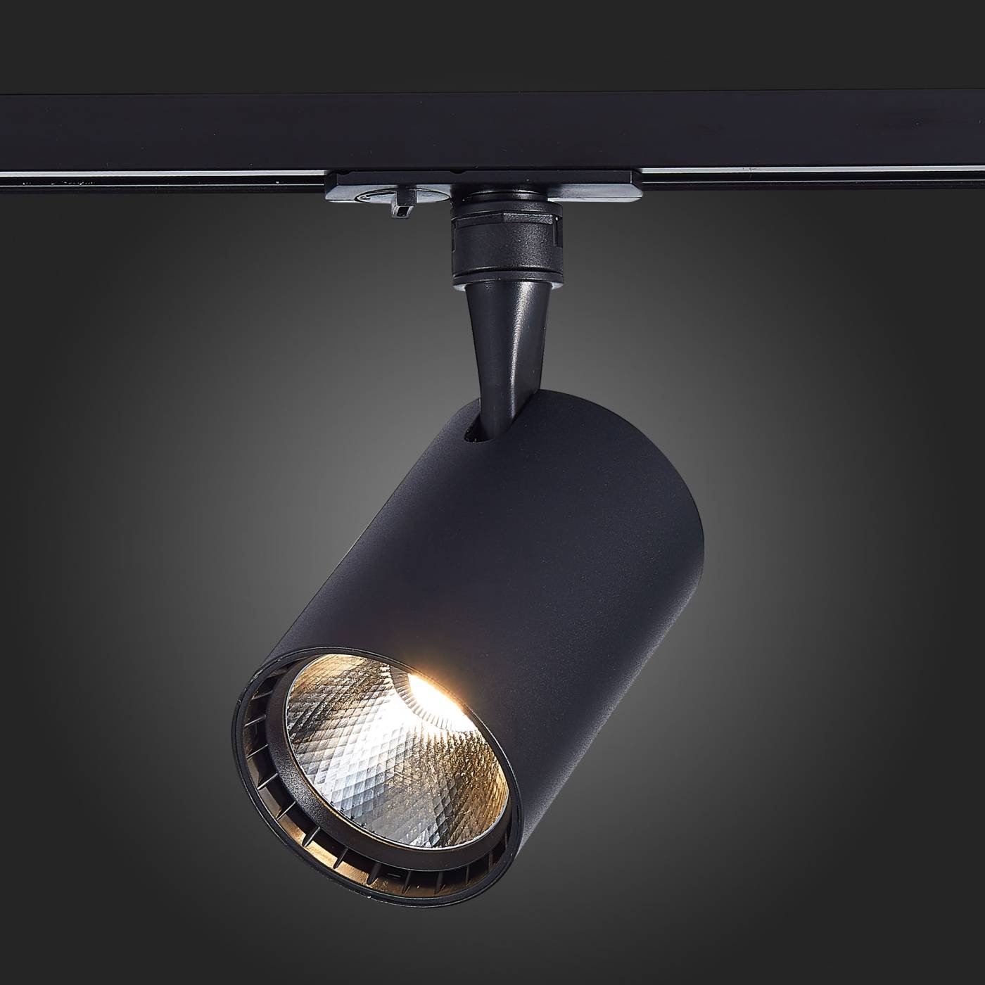 ST351.436.30.36 Трековый светильник ST Luce Cami ST351.436.30.36