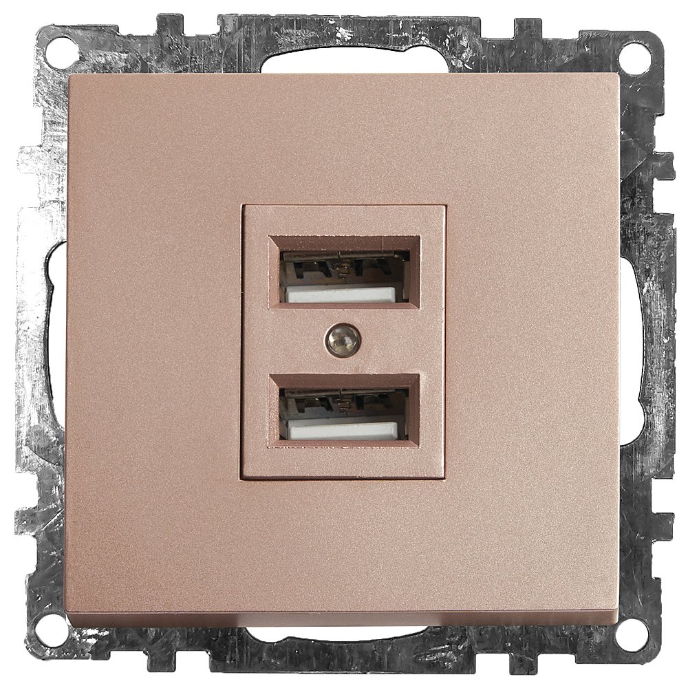 39602 Розетка USB 2-местная Stekker Катрин 39602
