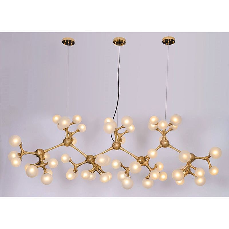 L04620 Подвесная люстра L'Arte Luce Luxury Organic Atomic L04620