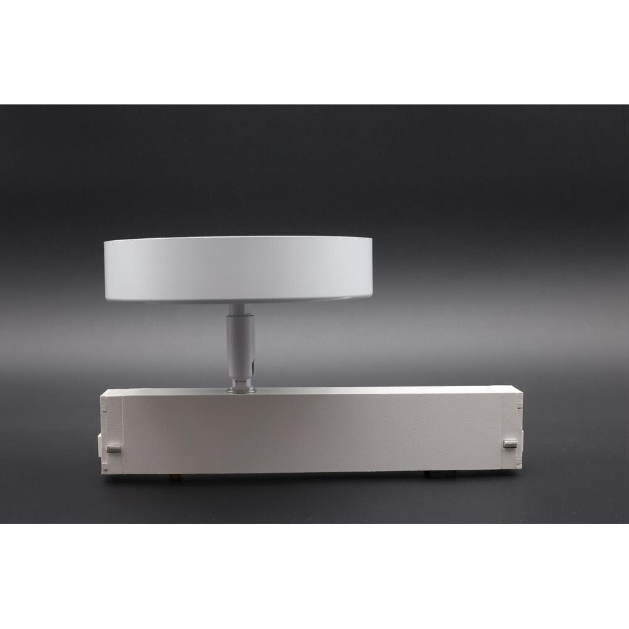 APL.0213.10.24 Трековый светильник Magnetic track 220 Aployt APL.0213.10.24
