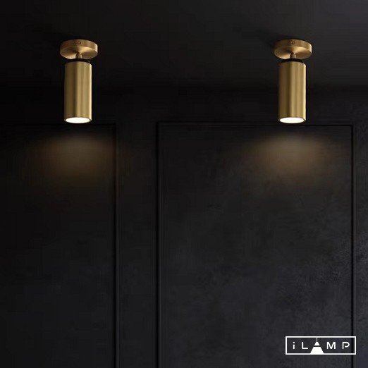 8861C BR-BK Светильник спот iLamp Plum 8861C BR-BK