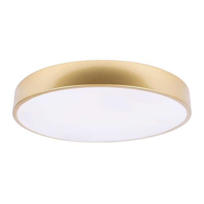 Светильник потолочный Loft It Flims 10228/A