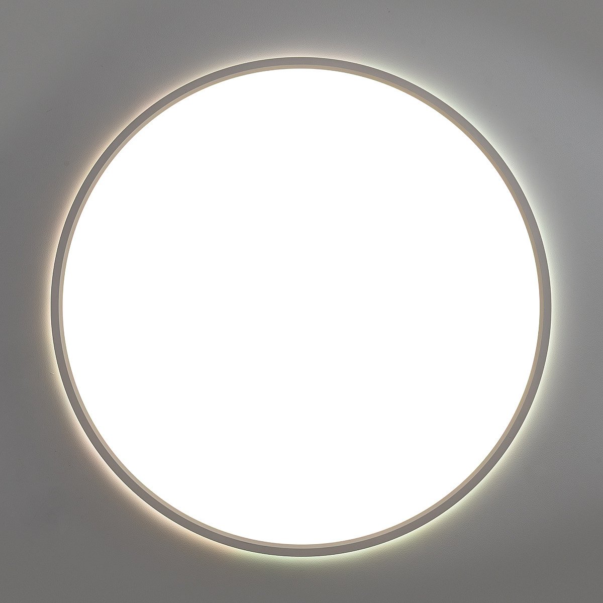 CL749500 Светильник потолочный Citilux NORMA CL749500