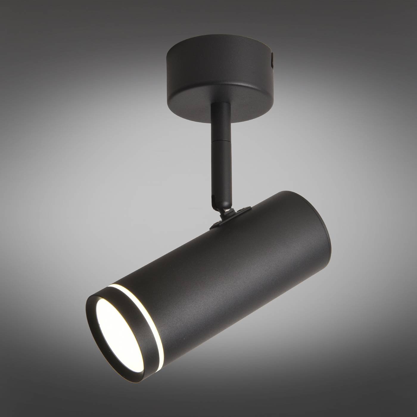 OML-102209-12 Светильник спот Omnilux Deruta OML-102209-12