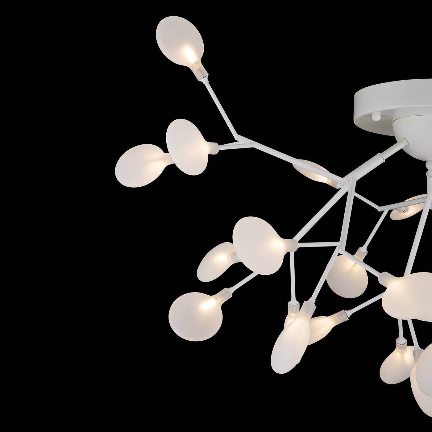 FR5049CL-27W1 Потолочная люстра Freya Florencia FR5049CL-27W1