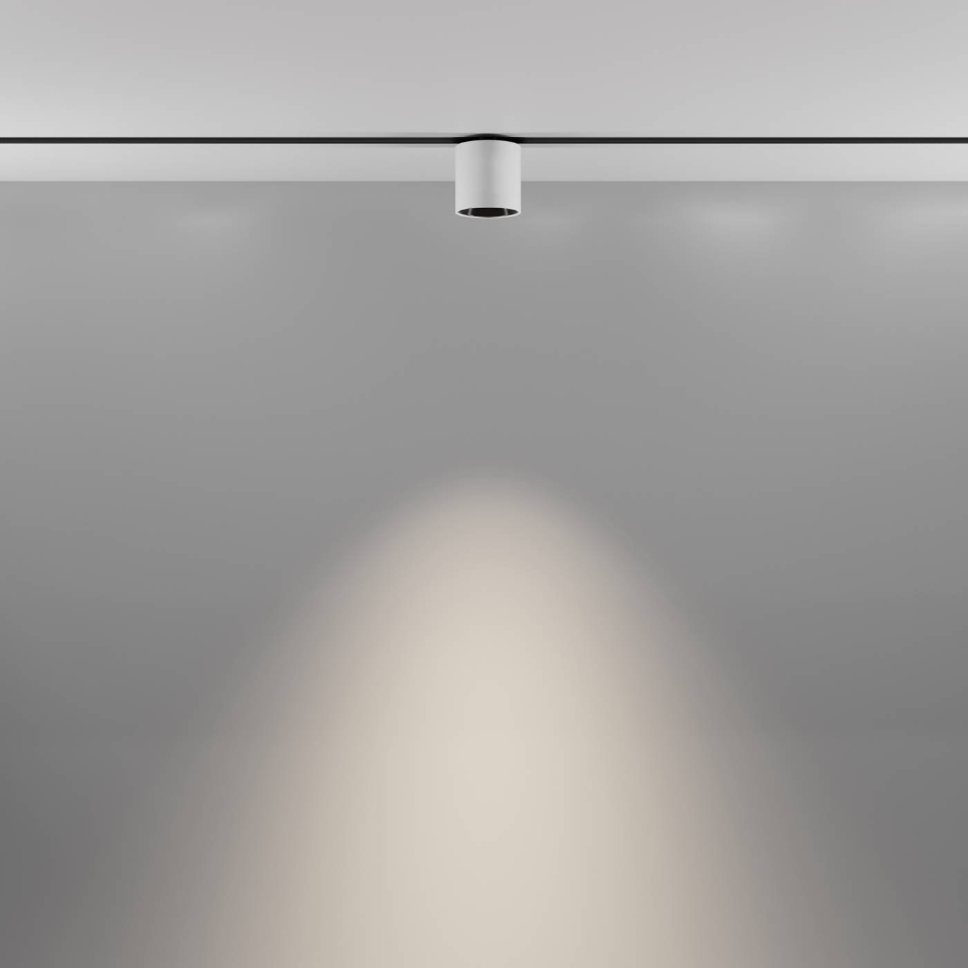 TR132-2-7W4K-W Трековый светильник Maytoni Alfa S TR132-2-7W4K-W