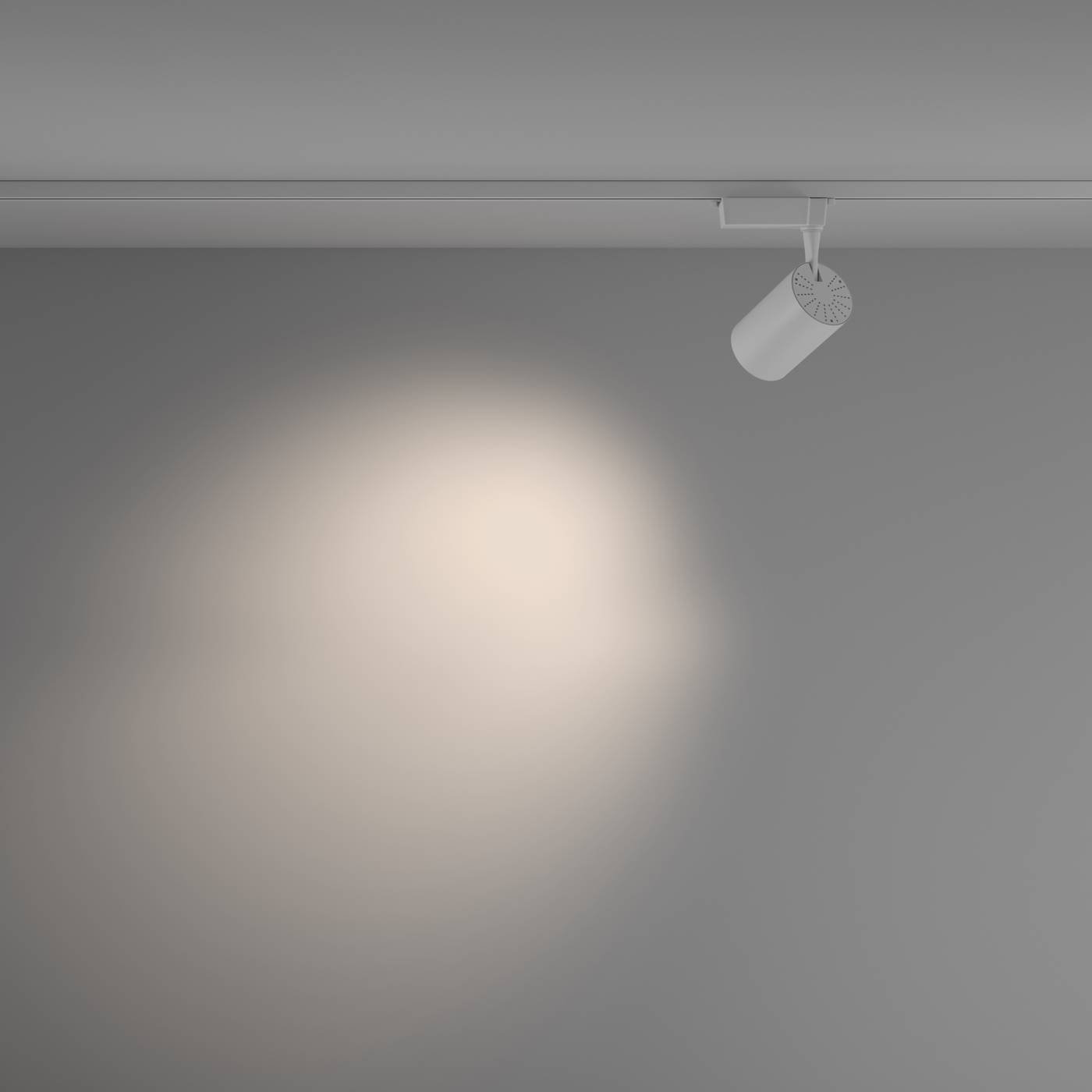 TR003-1-26W4K-M-W Трековый светильник Maytoni Vuoro Unity TR003-1-26W4K-M-W