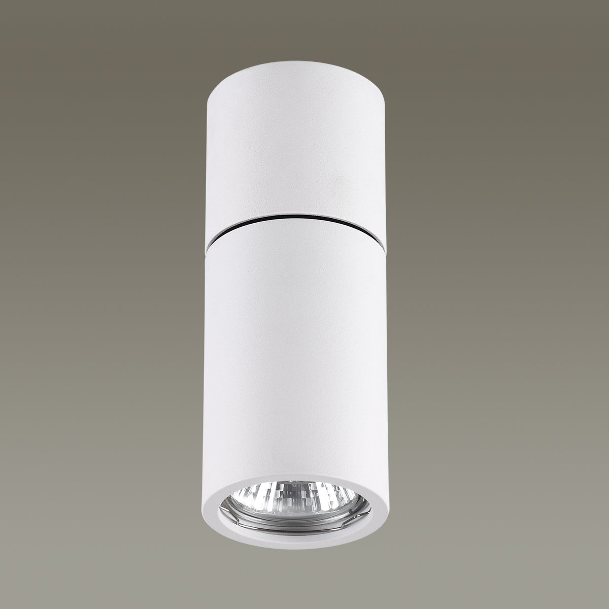 Накладной светильник Odeon Light Duetta 3582/1C