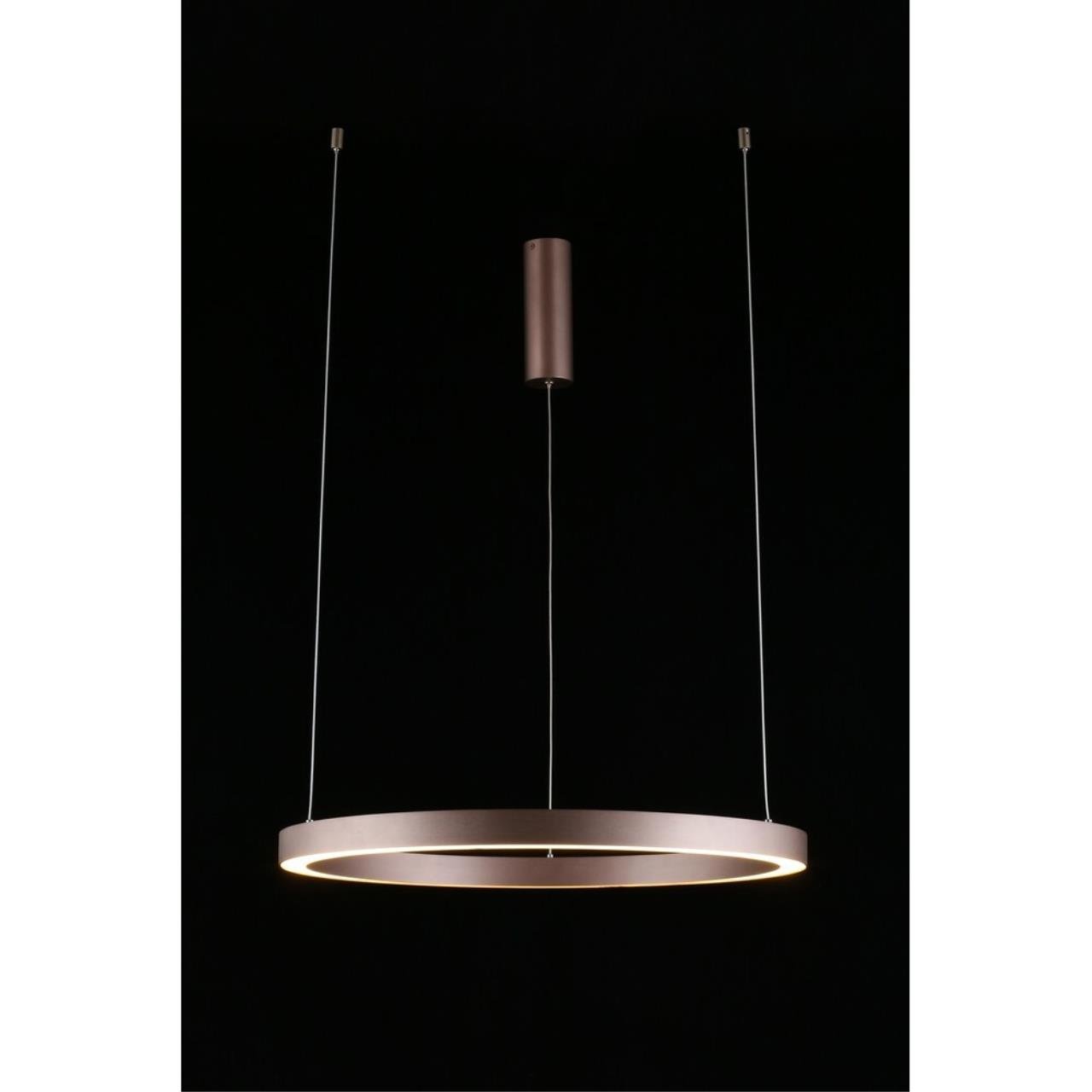 Подвесная люстра Aployt Nisia APL.025.03.48