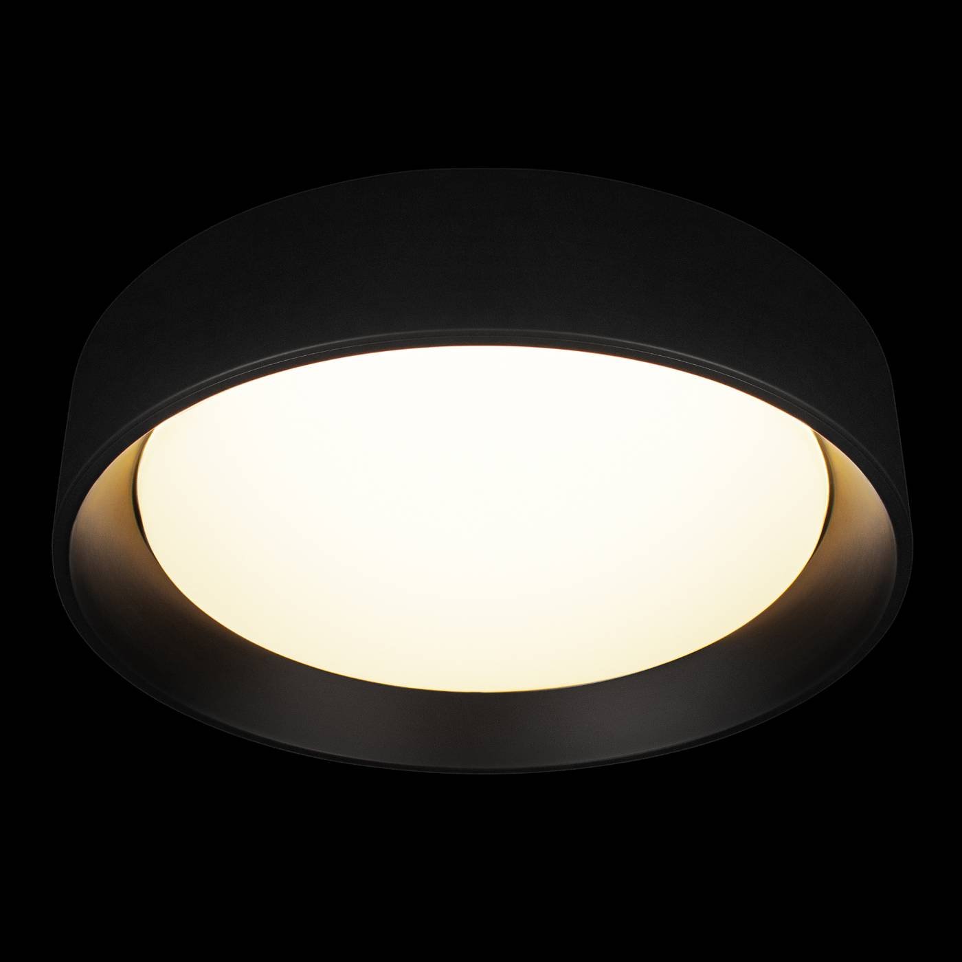 Светильник потолочный Loft It Coin 10202 BB