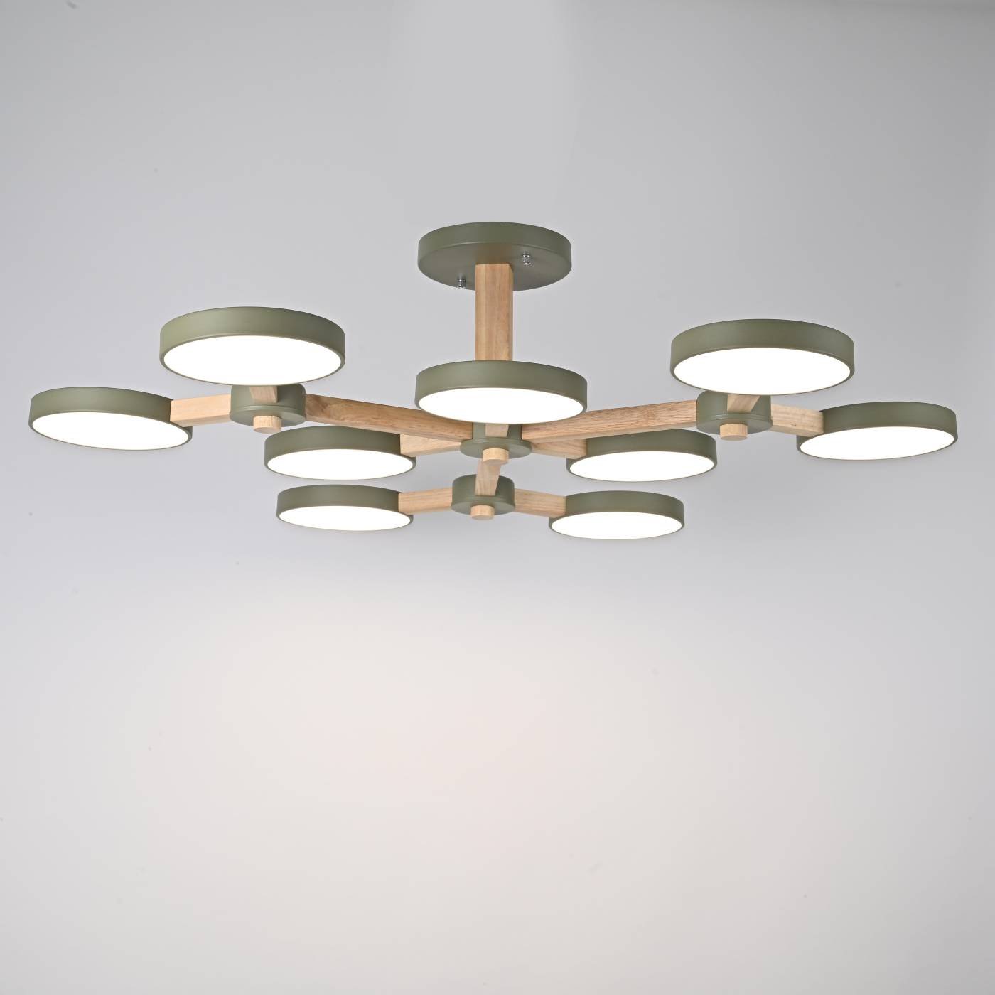 141111-26 Потолочная люстра ImperiumLoft Turna-X01 141111-26