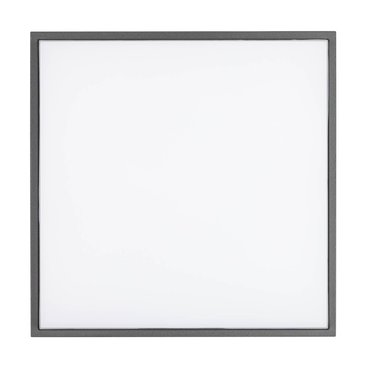 Уличный потолочный светильник Arlight 029952