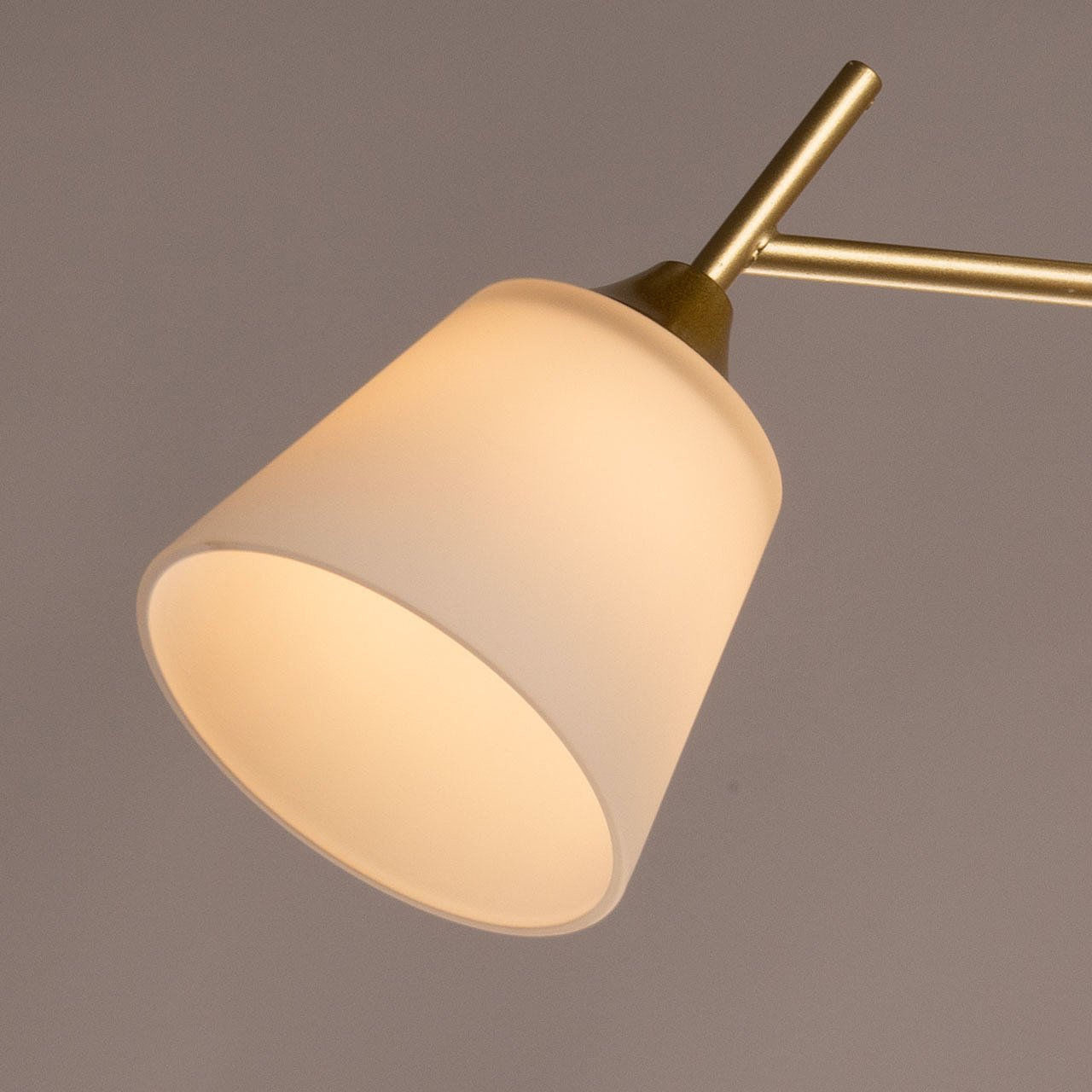 Потолочная люстра De Markt Дэла 635019205