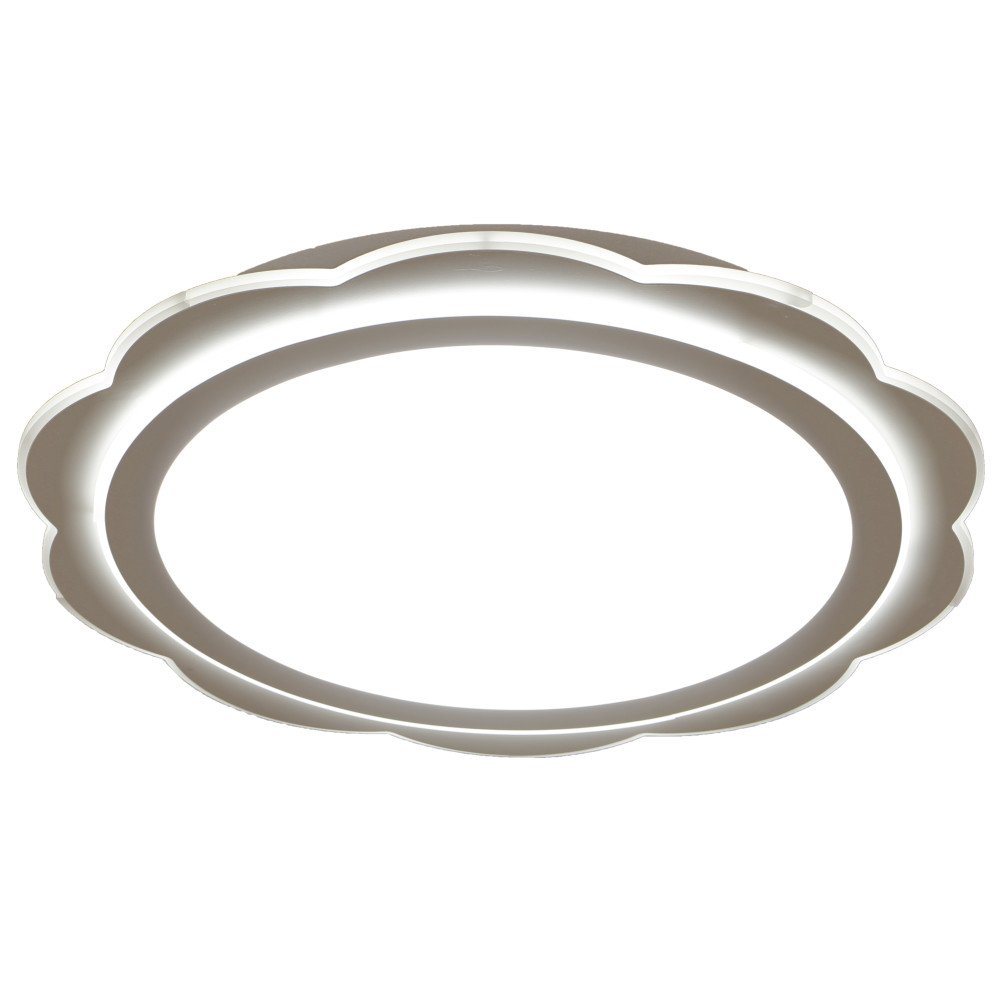 0894 Потолочный LED светильник Adilux 0894 0894