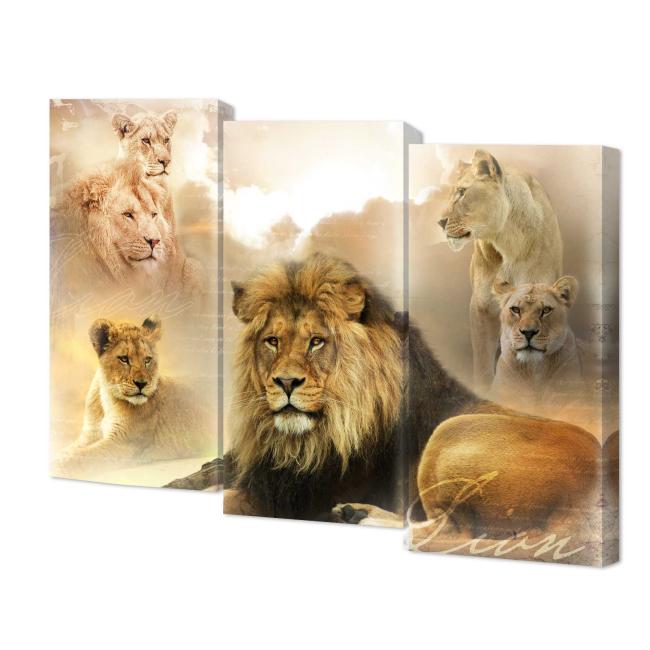 TL-M3079 Модульные картины Toplight TL-M3079