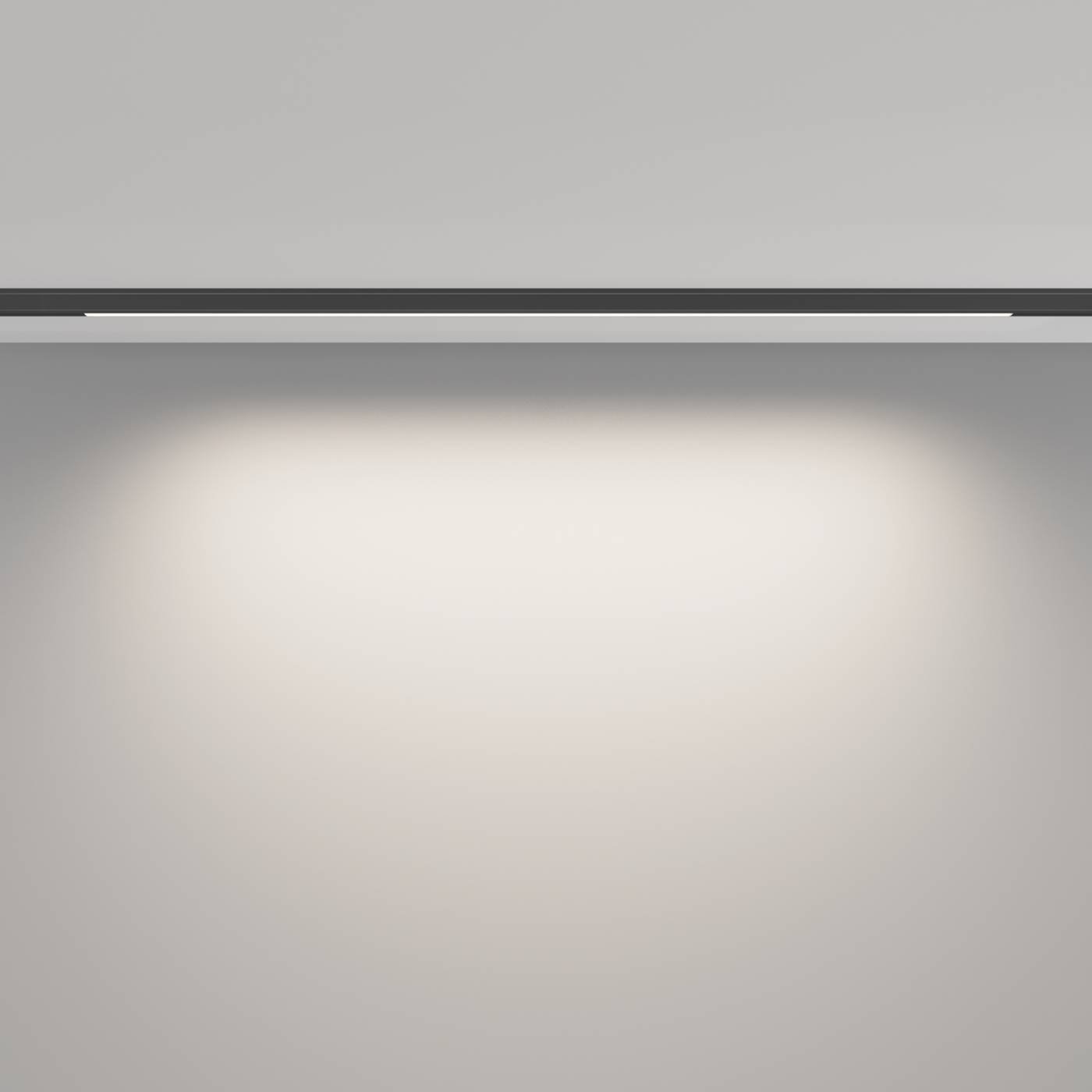 Трековый светильник Maytoni Basis TR190-1-10W4K-B