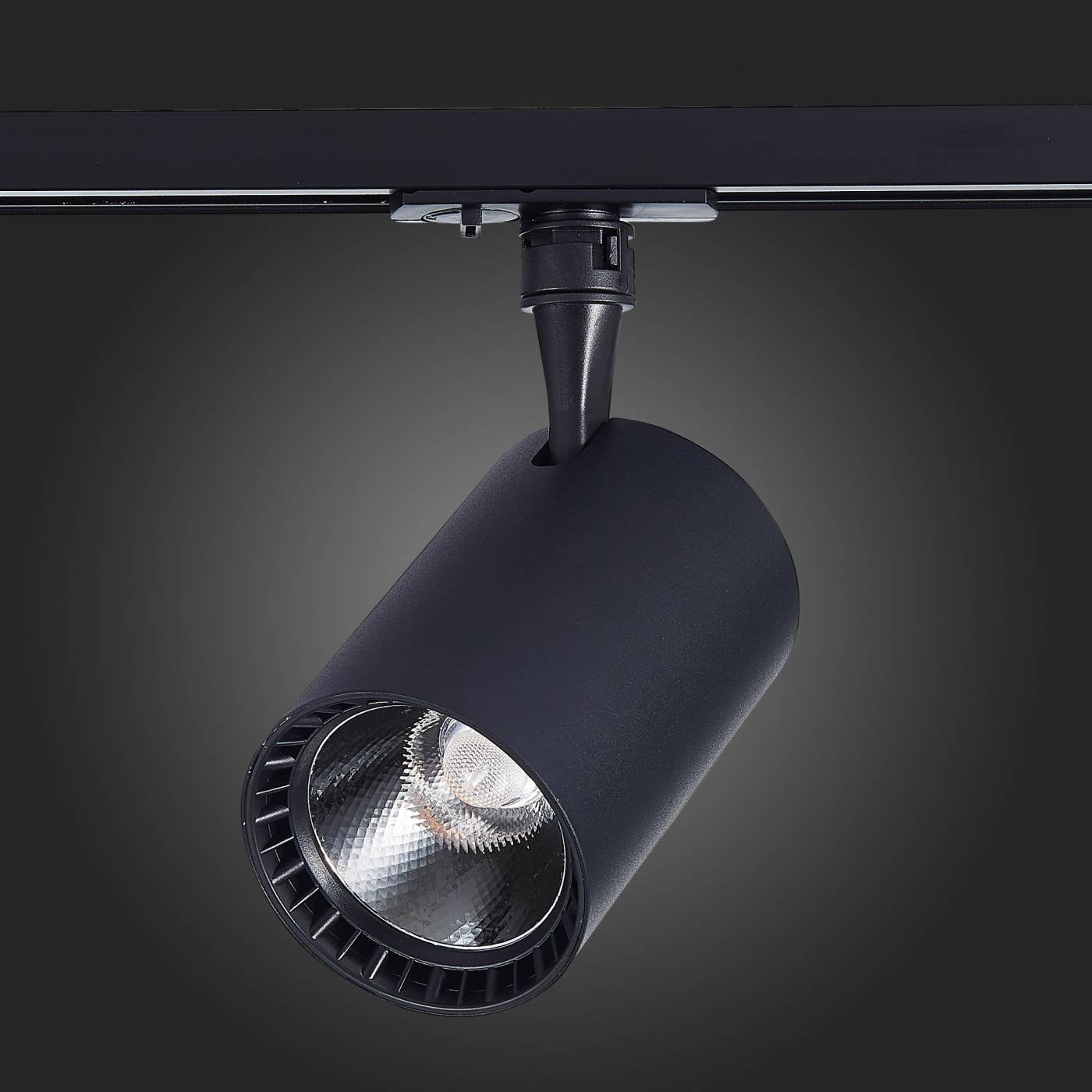 ST351.436.15.36 Трековый светильник ST Luce Cami ST351.436.15.36