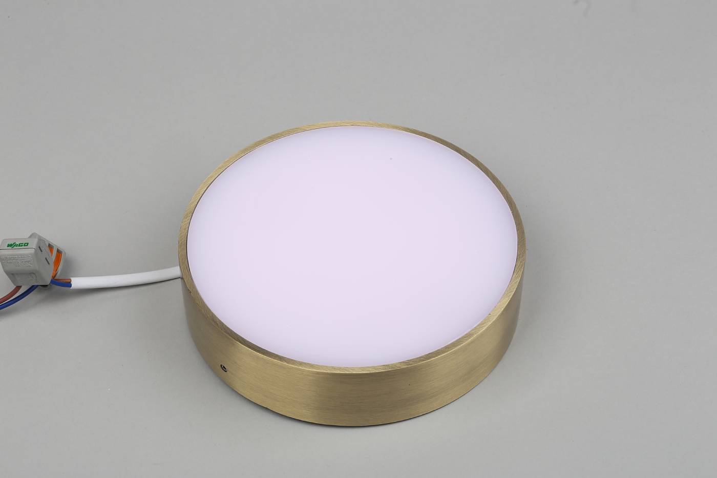 APL.0114.29.18 Светильник потолочный Aployt Evon APL.0114.29.18