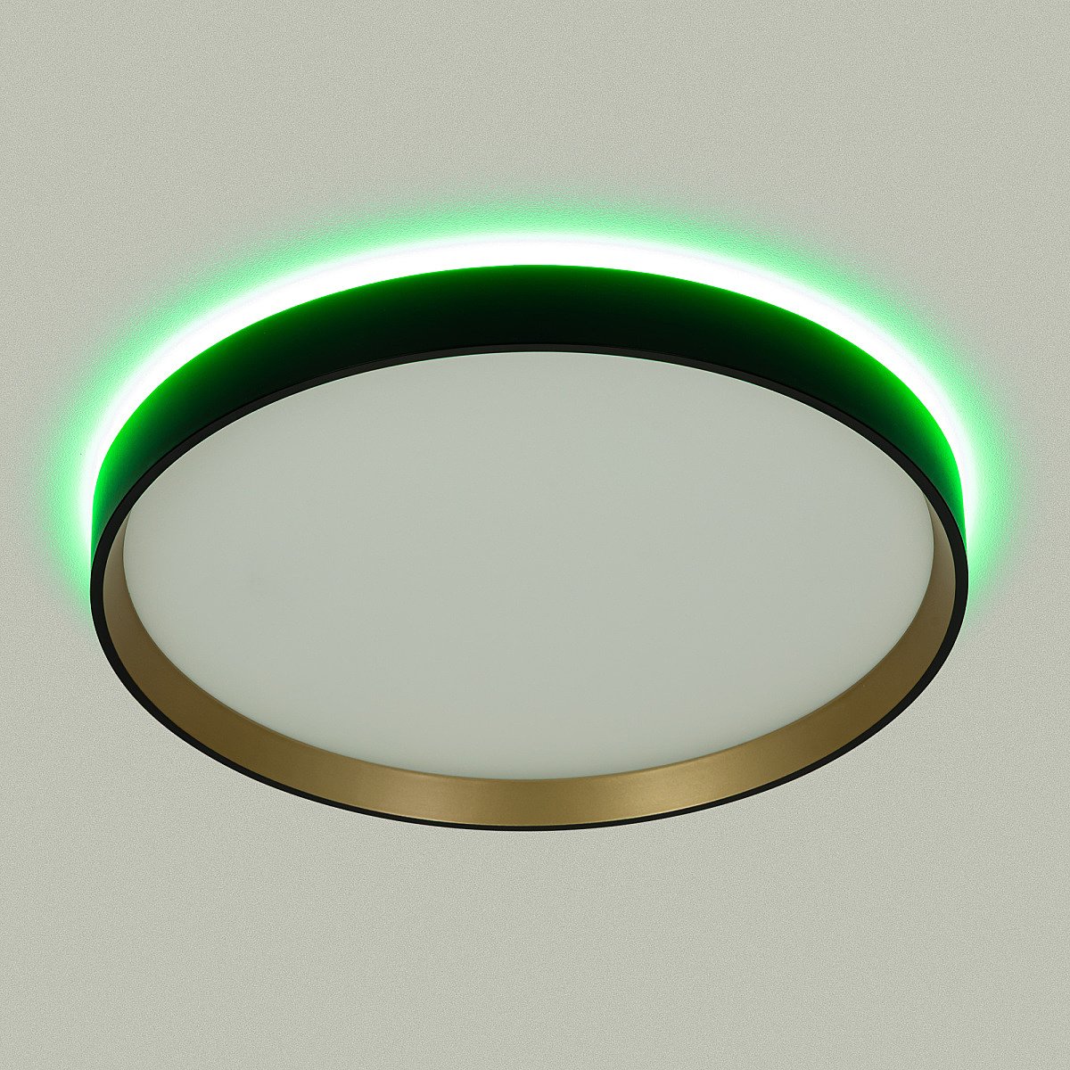 Светильник потолочный Citilux Etalon CL750321R