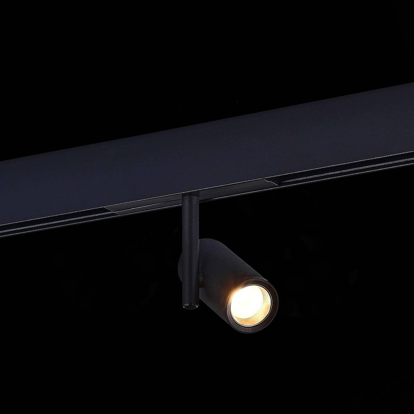 ST808.436.08 Трековый светильник ST Luce St808 ST808.436.08