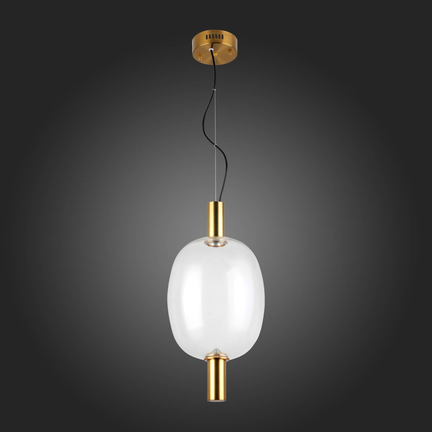 SL1582.313.01 Светильник подвесной ST Luce Allenore SL1582.313.01