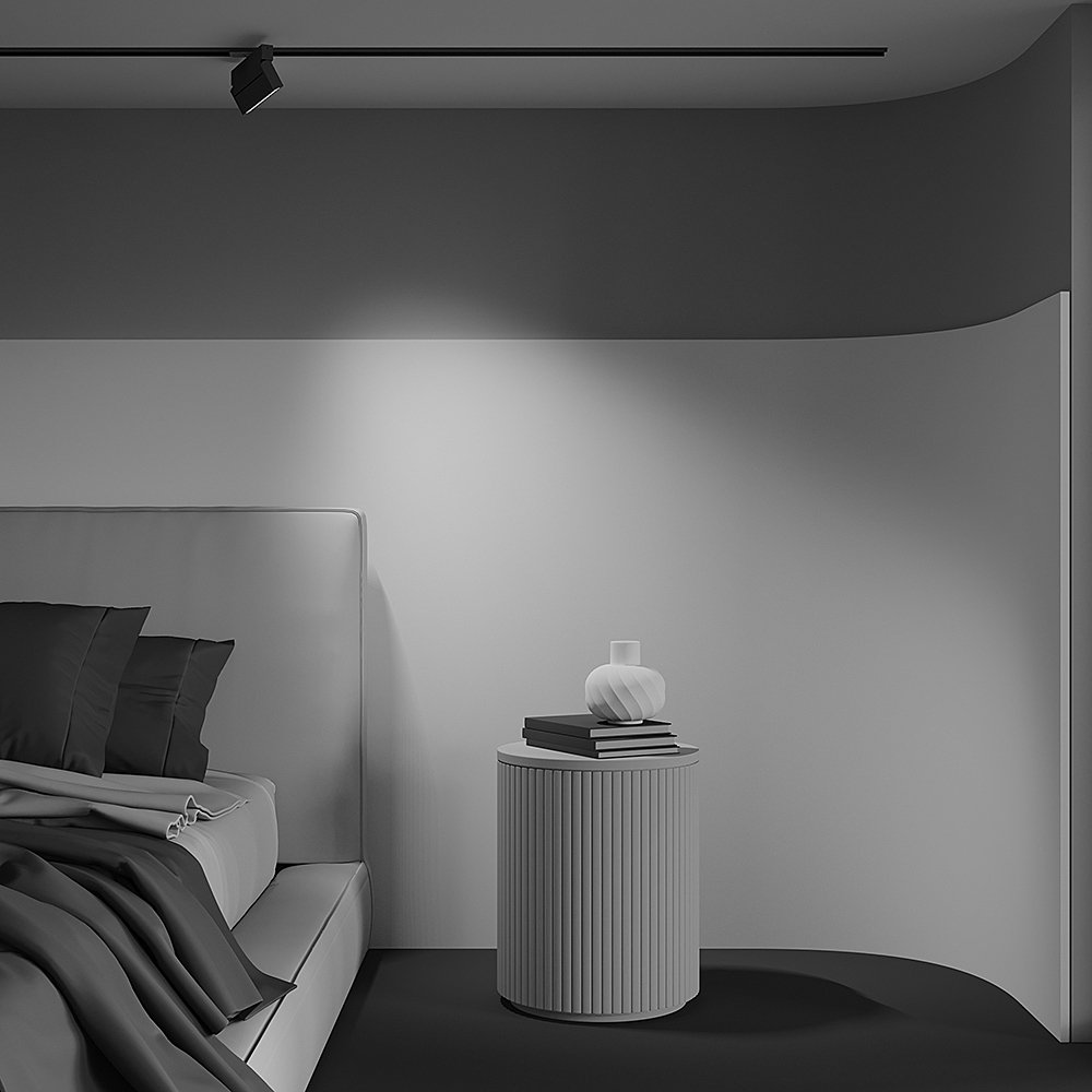 Трековый светильник Maytoni Points Rot TR224-1-12WCCT-M-B