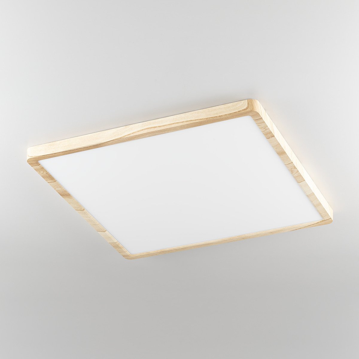 CL738K502V Светильник потолочный Citilux Бейсик CL738K502V