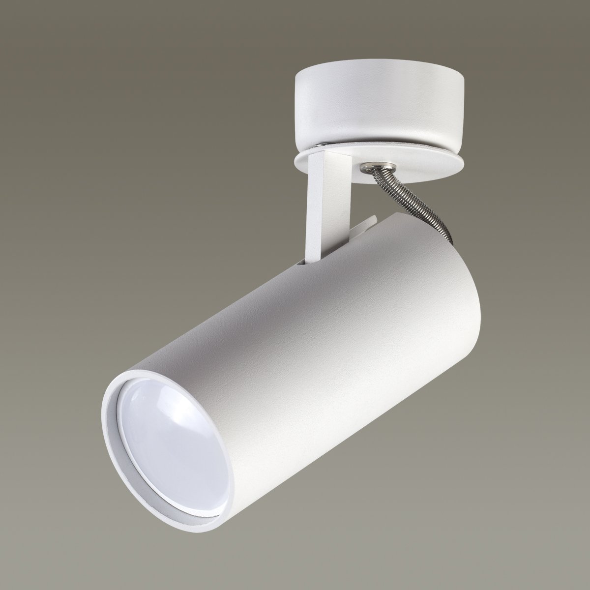 3873/1C Светильник спот Odeon Light Corse 3873/1C