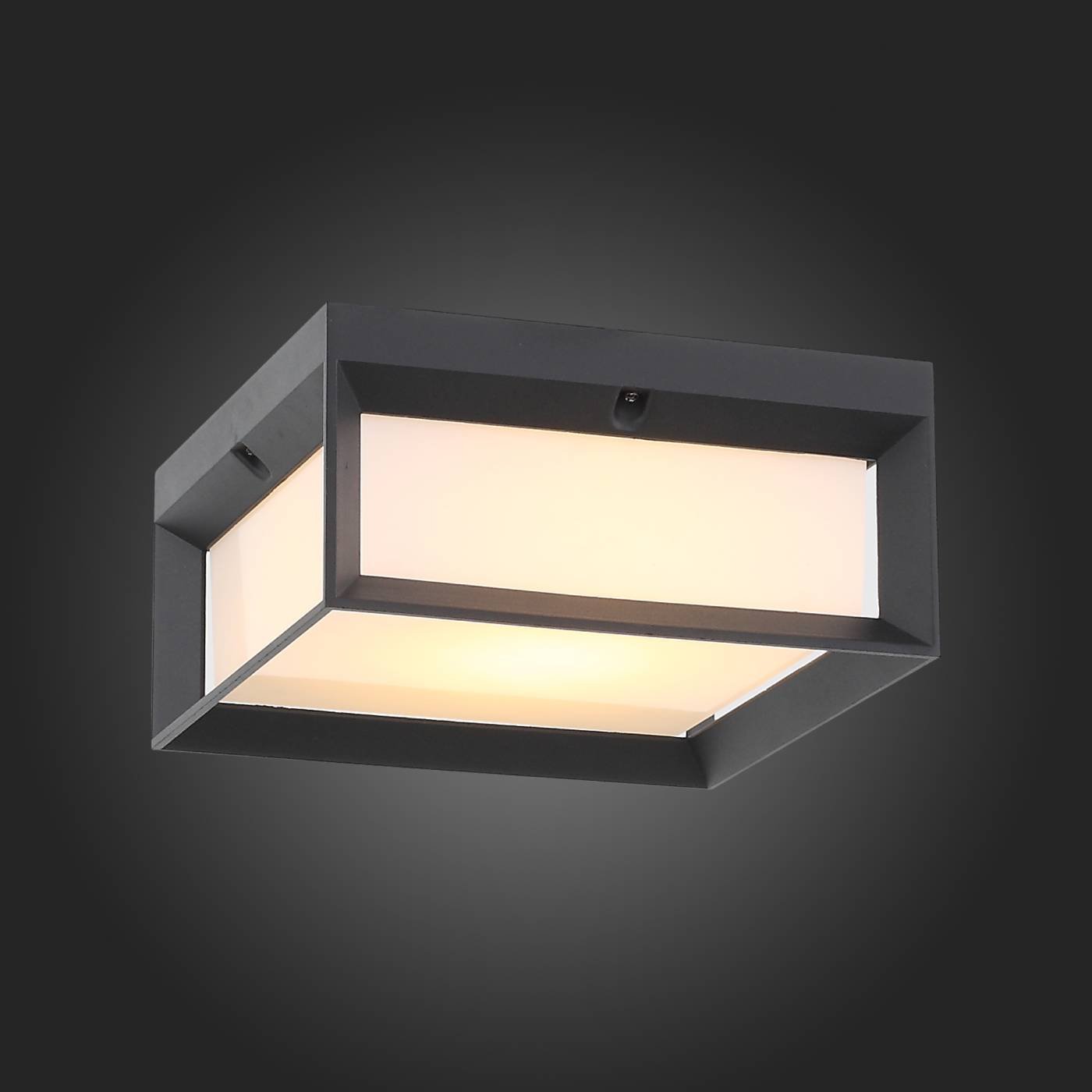SL077.402.01 Уличные потолочные ST Luce Cubista SL077.402.01