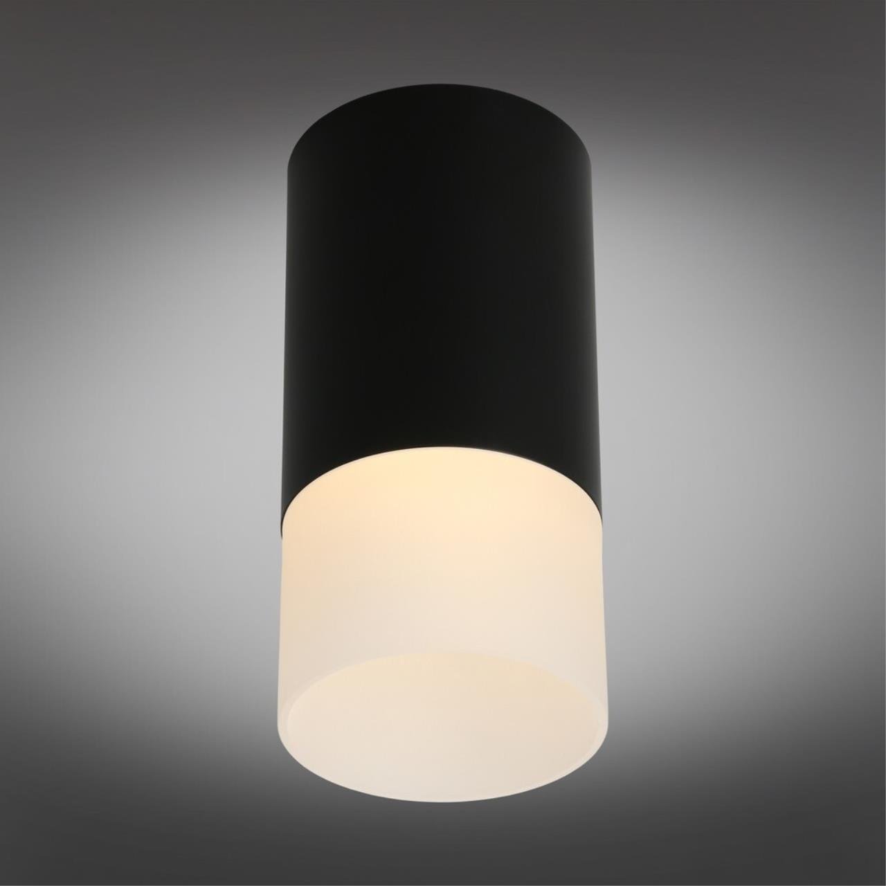 OML-100619-01 Накладной светильник Omnilux Lucido OML-100619-01